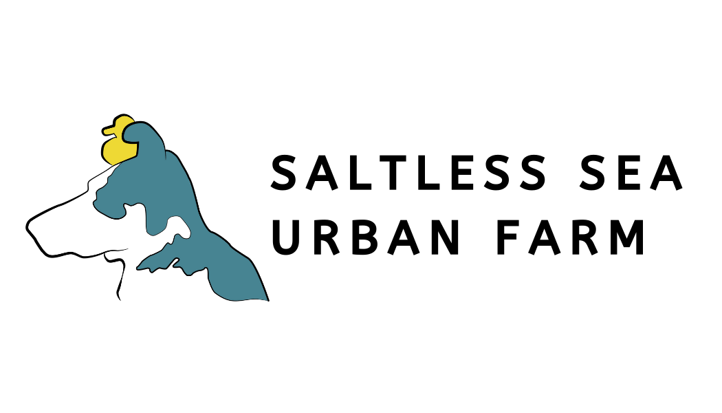 Saltless Sea Urban Farm