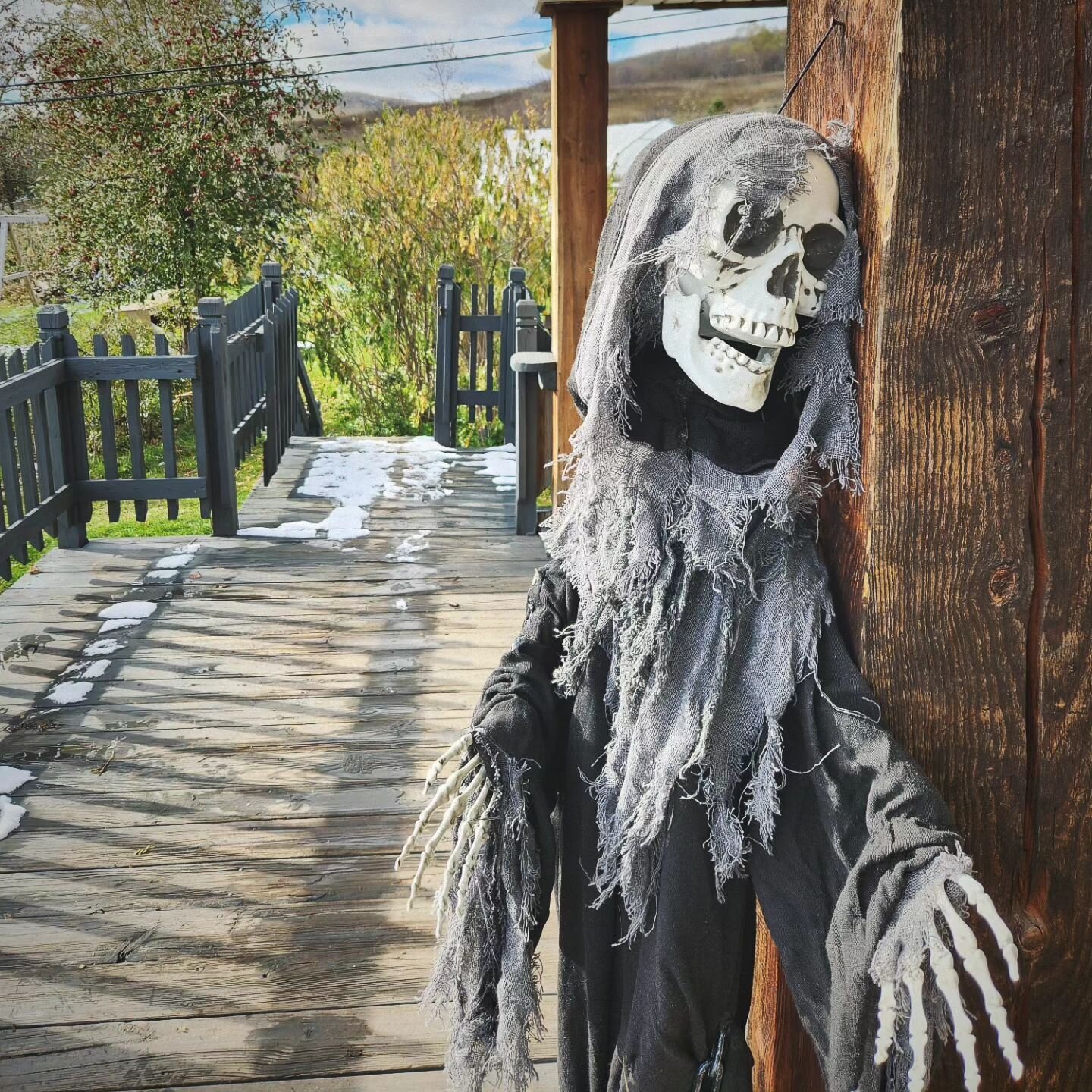 HAPPY HALLOWEEN! 🎃👻💀
